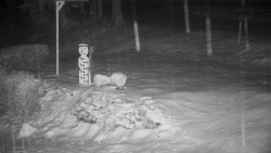 Běžecký lyžařský areál Nová Ves - horní část