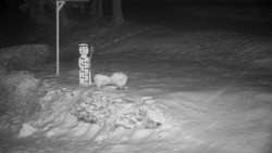 Běžecký lyžařský areál Nová Ves - horní část