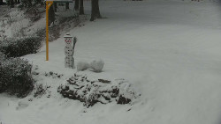 Běžecký lyžařský areál Nová Ves - horní část