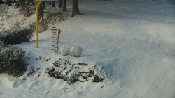 Běžecký lyžařský areál Nová Ves - horní část