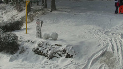 Běžecký lyžařský areál Nová Ves - horní část