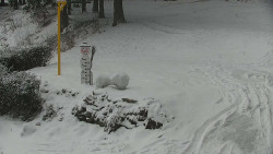 Běžecký lyžařský areál Nová Ves - horní část