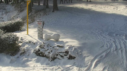 Běžecký lyžařský areál Nová Ves - horní část