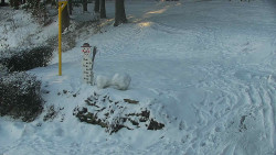 Běžecký lyžařský areál Nová Ves - horní část