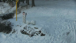Běžecký lyžařský areál Nová Ves - horní část