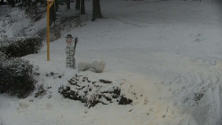 Běžecký lyžařský areál Nová Ves - horní část