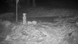 Běžecký lyžařský areál Nová Ves - horní část