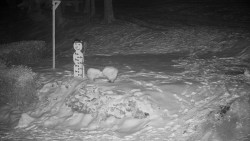 Běžecký lyžařský areál Nová Ves - horní část