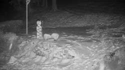 Běžecký lyžařský areál Nová Ves - horní část