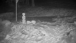 Běžecký lyžařský areál Nová Ves - horní část