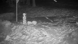 Běžecký lyžařský areál Nová Ves - horní část