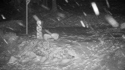 Běžecký lyžařský areál Nová Ves - horní část