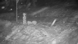 Běžecký lyžařský areál Nová Ves - horní část