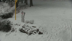 Běžecký lyžařský areál Nová Ves - horní část