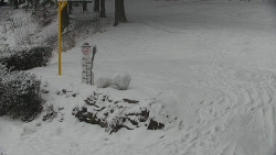 Běžecký lyžařský areál Nová Ves - horní část