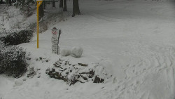 Běžecký lyžařský areál Nová Ves - horní část