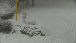 Běžecký lyžařský areál Nová Ves - horní část