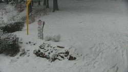 Běžecký lyžařský areál Nová Ves - horní část