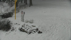 Běžecký lyžařský areál Nová Ves - horní část