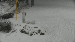 Běžecký lyžařský areál Nová Ves - horní část