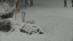 Běžecký lyžařský areál Nová Ves - horní část