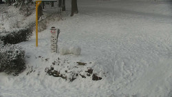 Běžecký lyžařský areál Nová Ves - horní část