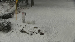 Běžecký lyžařský areál Nová Ves - horní část