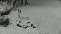 Běžecký lyžařský areál Nová Ves - horní část