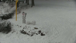 Běžecký lyžařský areál Nová Ves - horní část