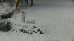 Běžecký lyžařský areál Nová Ves - horní část