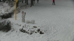 Běžecký lyžařský areál Nová Ves - horní část