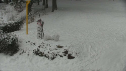 Běžecký lyžařský areál Nová Ves - horní část