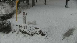 Běžecký lyžařský areál Nová Ves - horní část