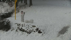 Běžecký lyžařský areál Nová Ves - horní část