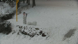 Běžecký lyžařský areál Nová Ves - horní část