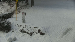 Běžecký lyžařský areál Nová Ves - horní část