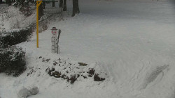 Běžecký lyžařský areál Nová Ves - horní část