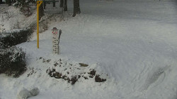 Běžecký lyžařský areál Nová Ves - horní část