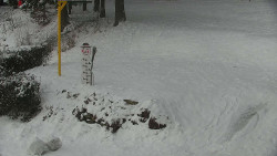 Běžecký lyžařský areál Nová Ves - horní část