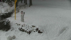 Běžecký lyžařský areál Nová Ves - horní část