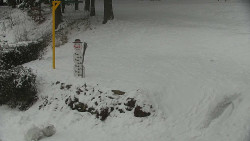 Běžecký lyžařský areál Nová Ves - horní část