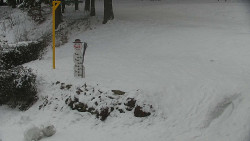 Běžecký lyžařský areál Nová Ves - horní část