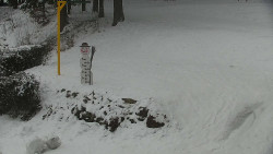 Běžecký lyžařský areál Nová Ves - horní část