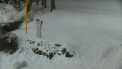 Běžecký lyžařský areál Nová Ves - horní část