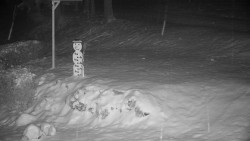 Běžecký lyžařský areál Nová Ves - horní část