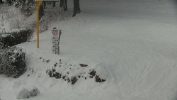 Běžecký lyžařský areál Nová Ves - horní část