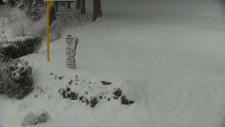 Běžecký lyžařský areál Nová Ves - horní část