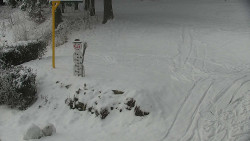 Běžecký lyžařský areál Nová Ves - horní část