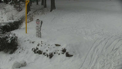 Běžecký lyžařský areál Nová Ves - horní část