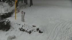 Běžecký lyžařský areál Nová Ves - horní část